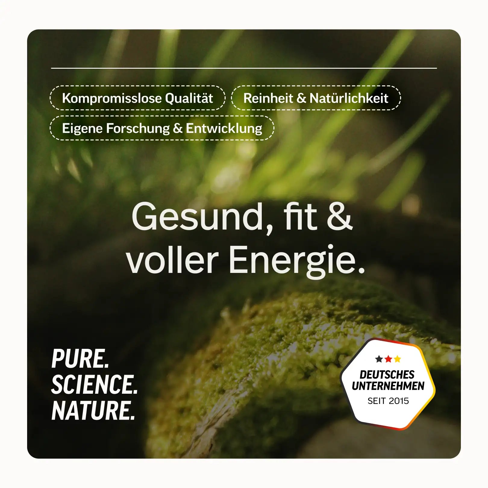 Clear Whey - Pulver aus Whey-Isolat