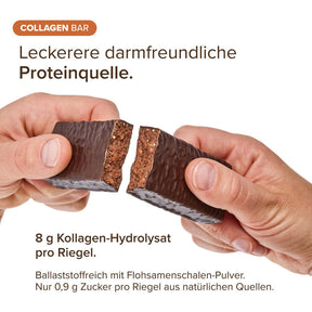 Riegel-Probierpaket (6 Stück)