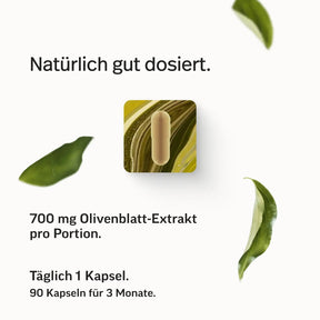 Olivenblatt-Extrakt Kapseln