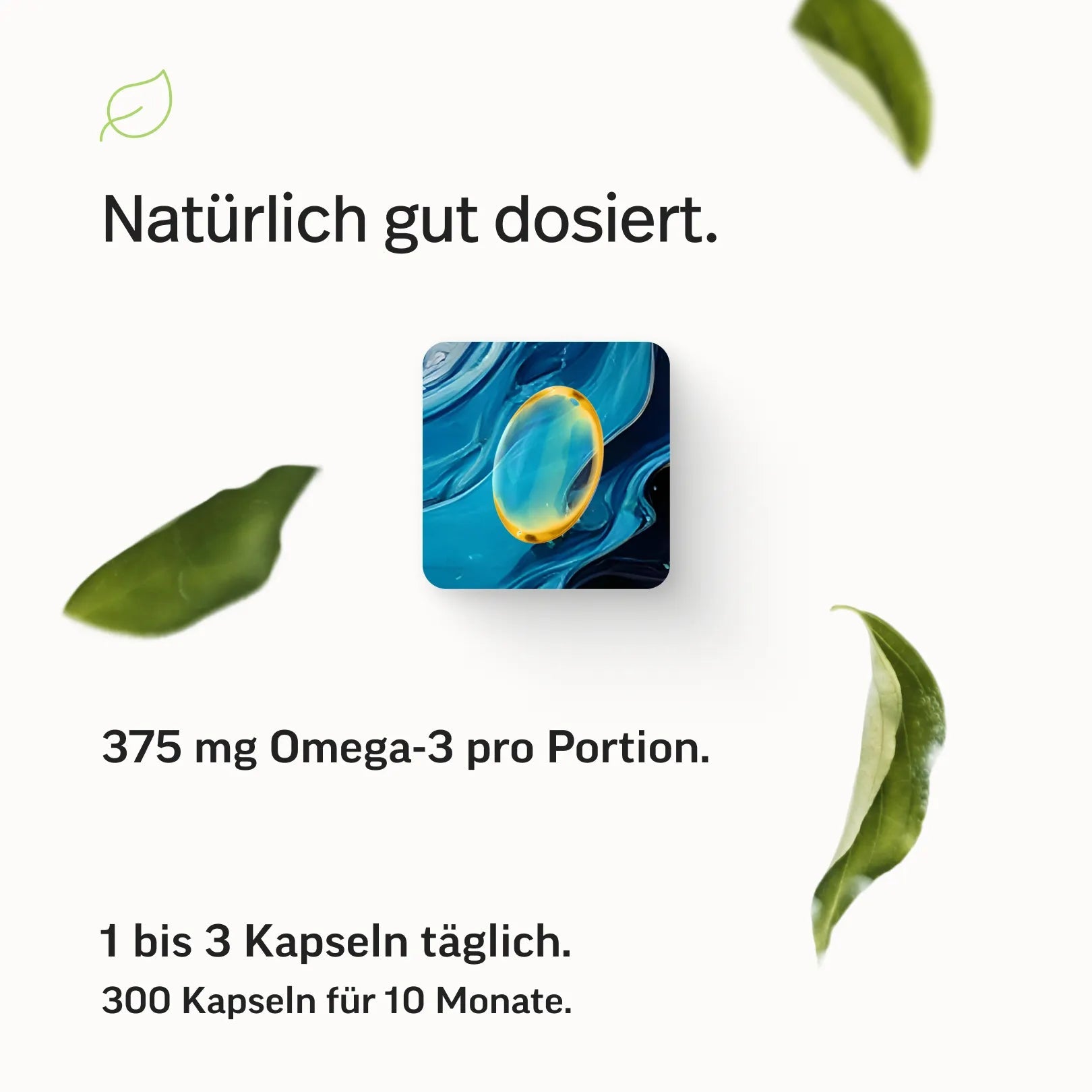 Omega-3 Kapseln – Triglyceride 70 %
