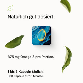 Omega-3 Kapseln – Triglyceride 70 %