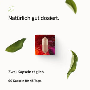Eisen Kapseln mit Lactoferrin