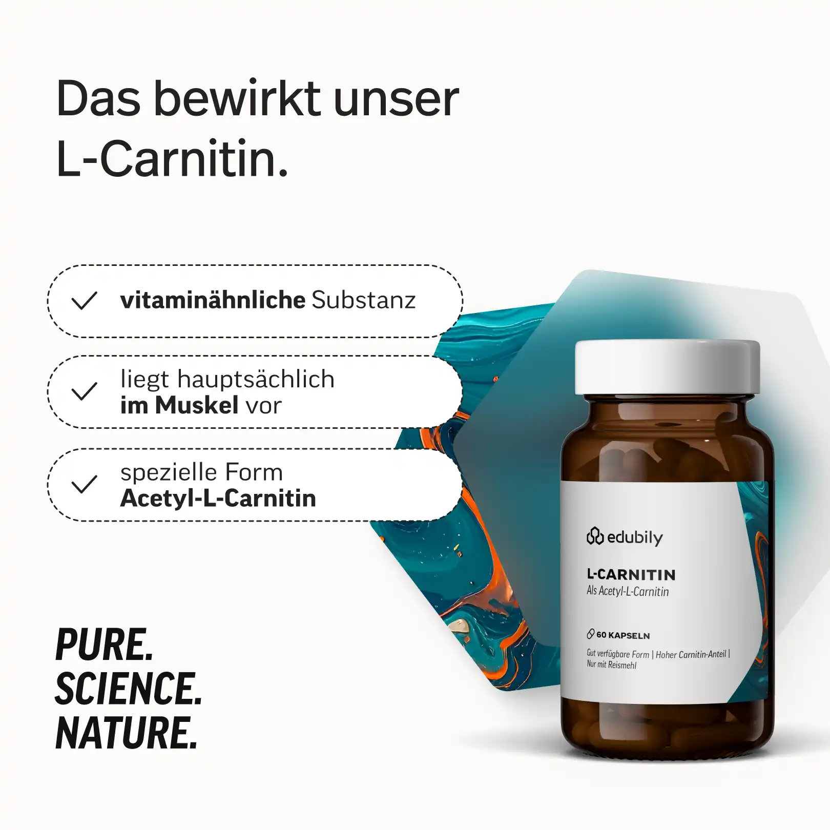 PURE L-Carnitin Kapseln