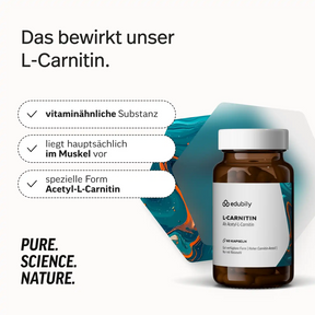 PURE L-Carnitin Kapseln