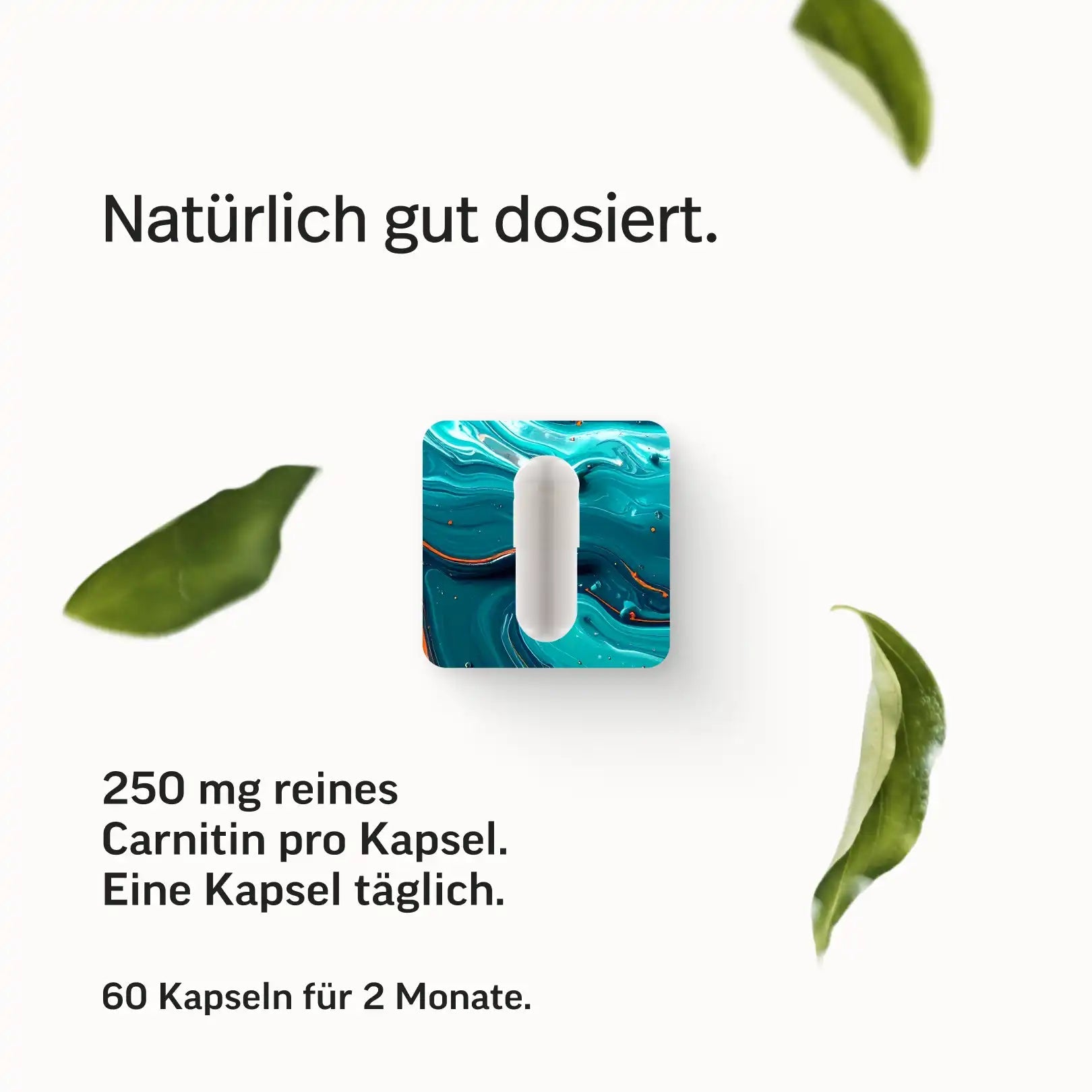 PURE L-Carnitin Kapseln