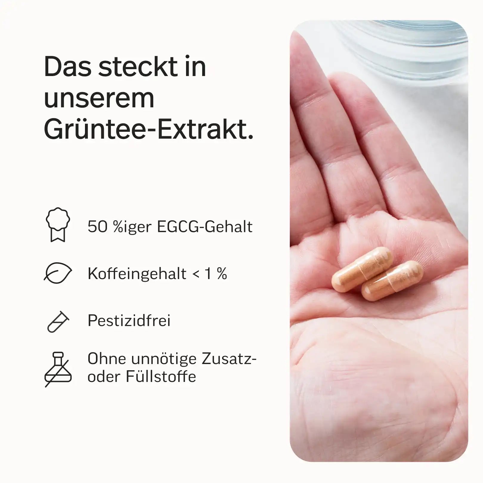Grüner-Tee-Extrakt Kapseln mit 50 % EGCG