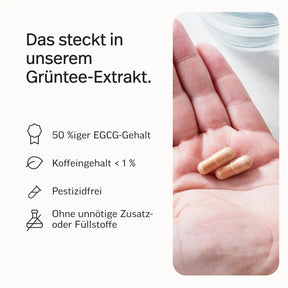 Grüner-Tee-Extrakt Kapseln mit 50 % EGCG