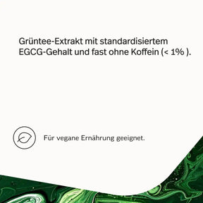 Grüner-Tee-Extrakt Kapseln mit 50 % EGCG