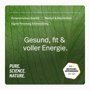 Grüner-Tee-Extrakt Kapseln mit 50 % EGCG