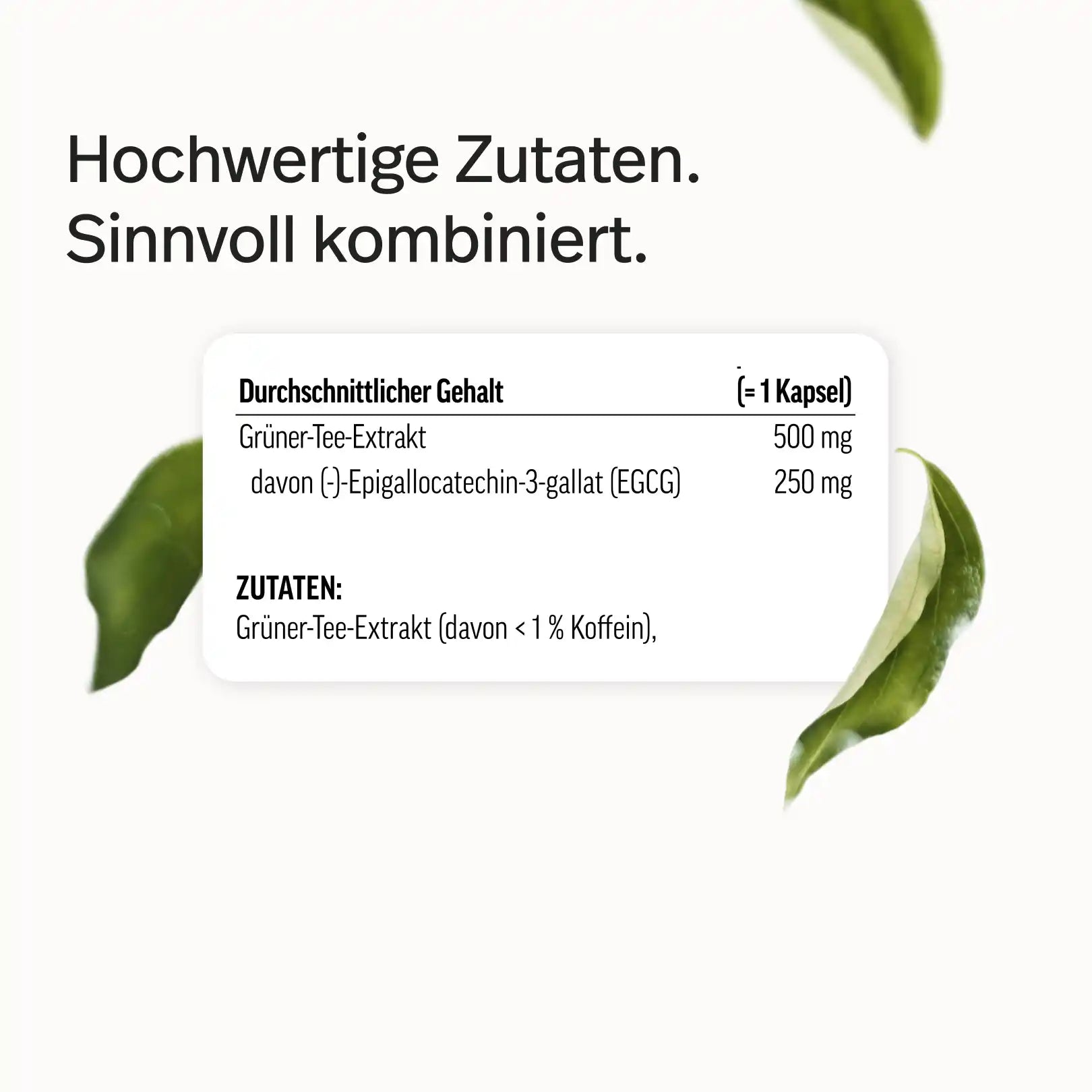 Grüner-Tee-Extrakt Kapseln mit 50 % EGCG