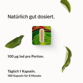 Iod Kapseln – aus reinstem Bio-Kelp