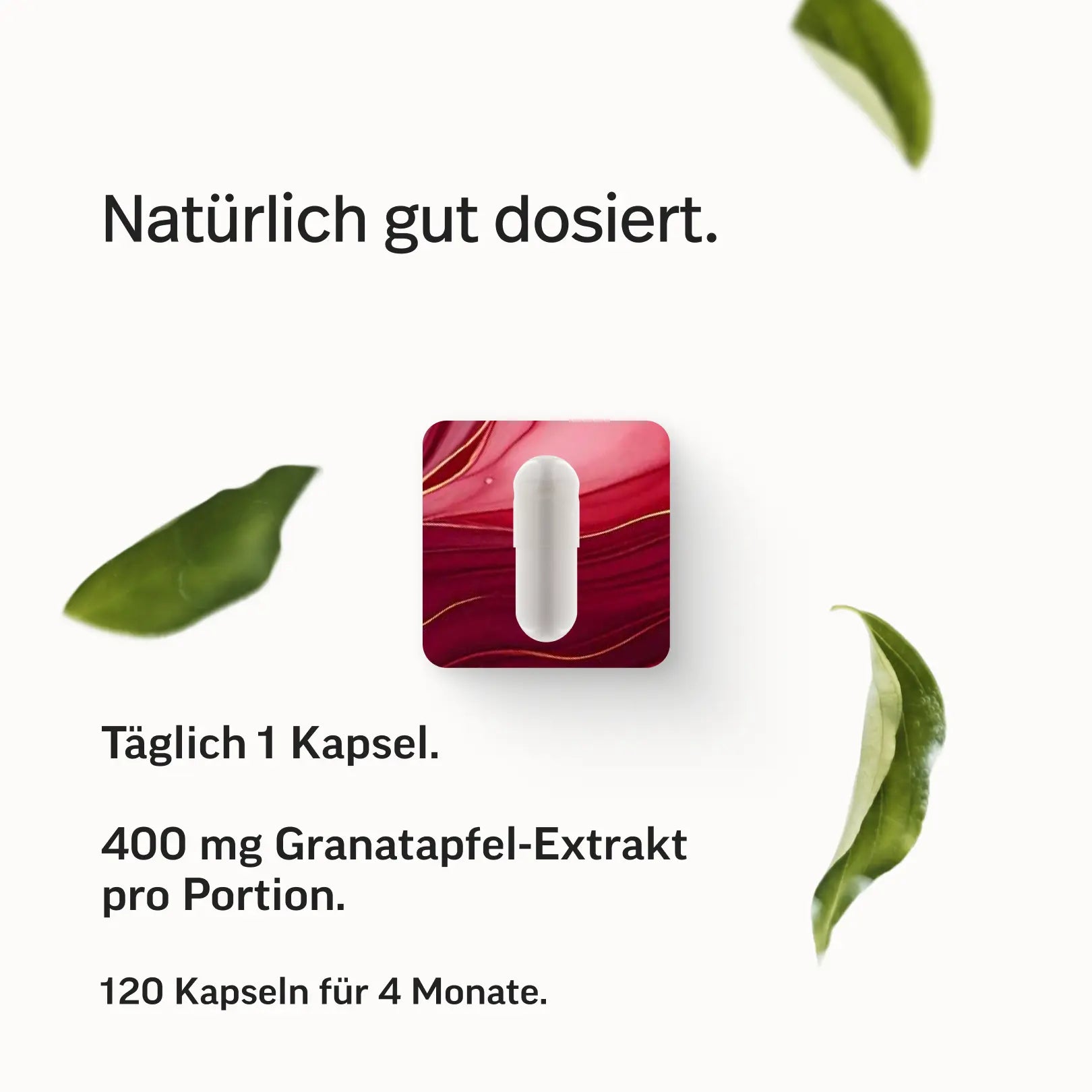 Granatapfel-Extrakt PRO