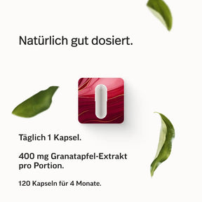 Granatapfel-Extrakt PRO
