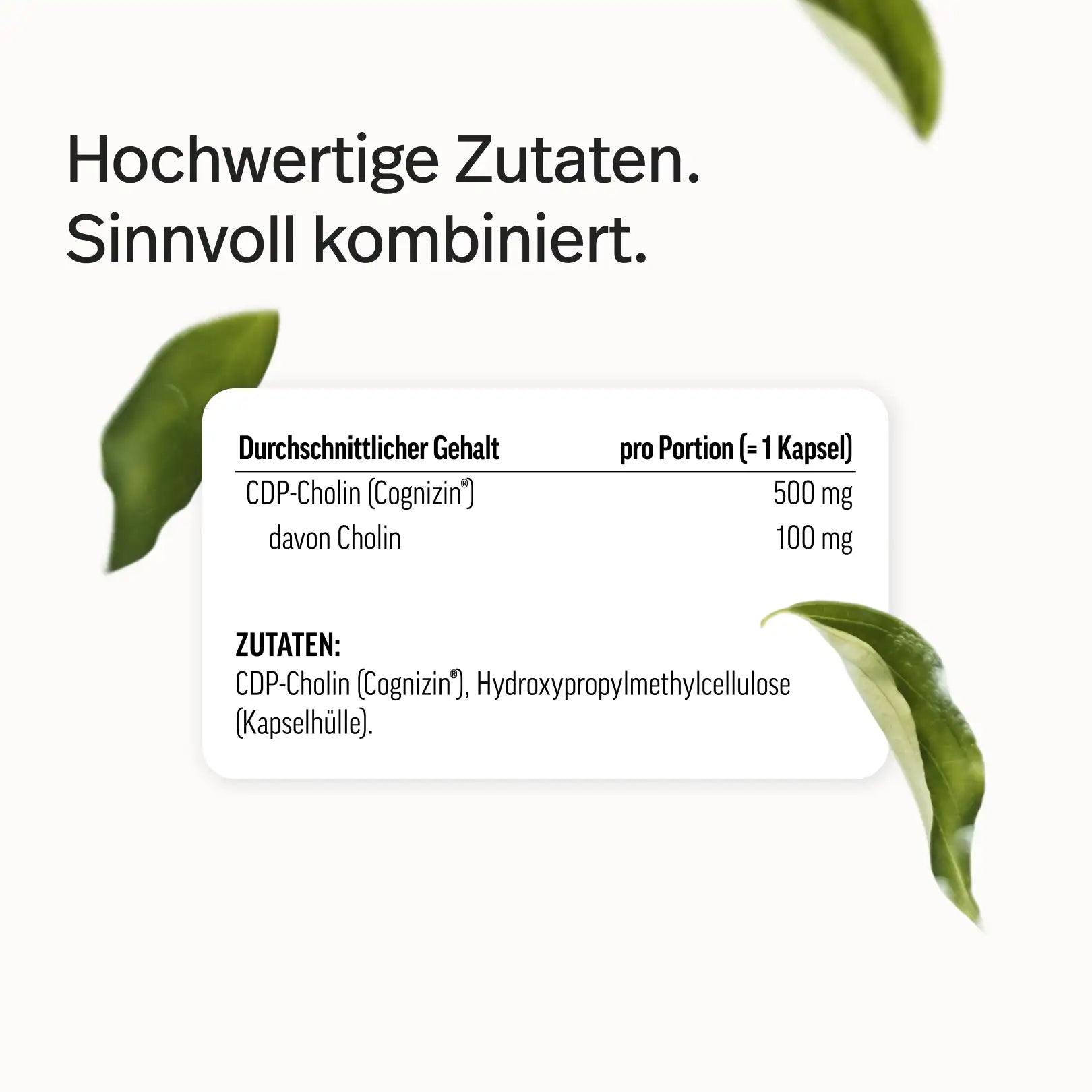 PURE Cholin Kapseln – als CDP-Cholin