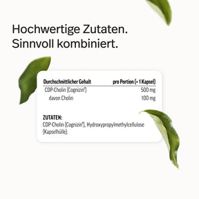 PURE Cholin Kapseln – als CDP-Cholin