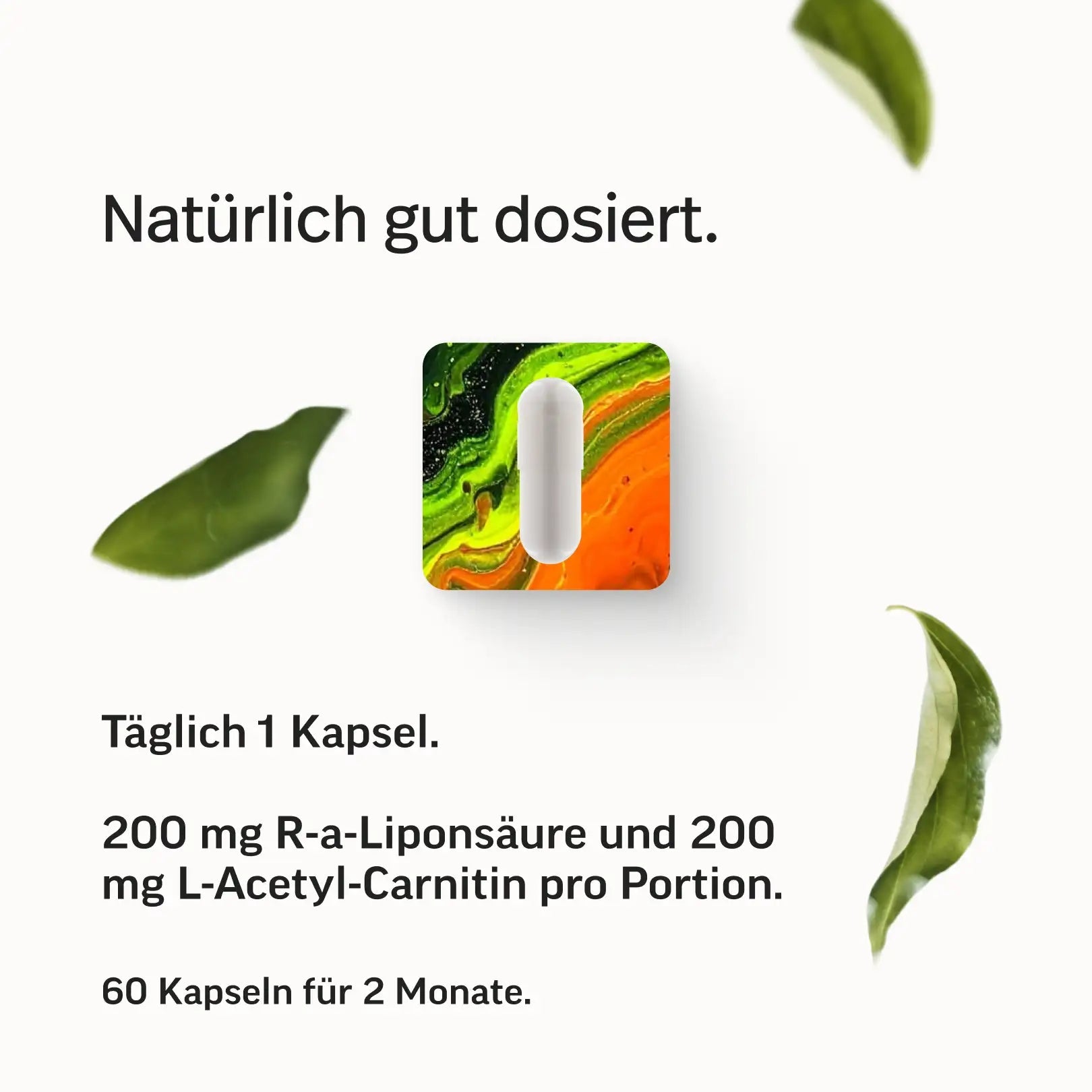 PURE Macarena Kapseln
