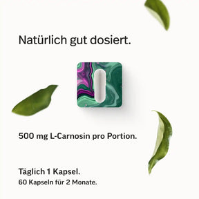 PURE L-Carnosin Kapseln