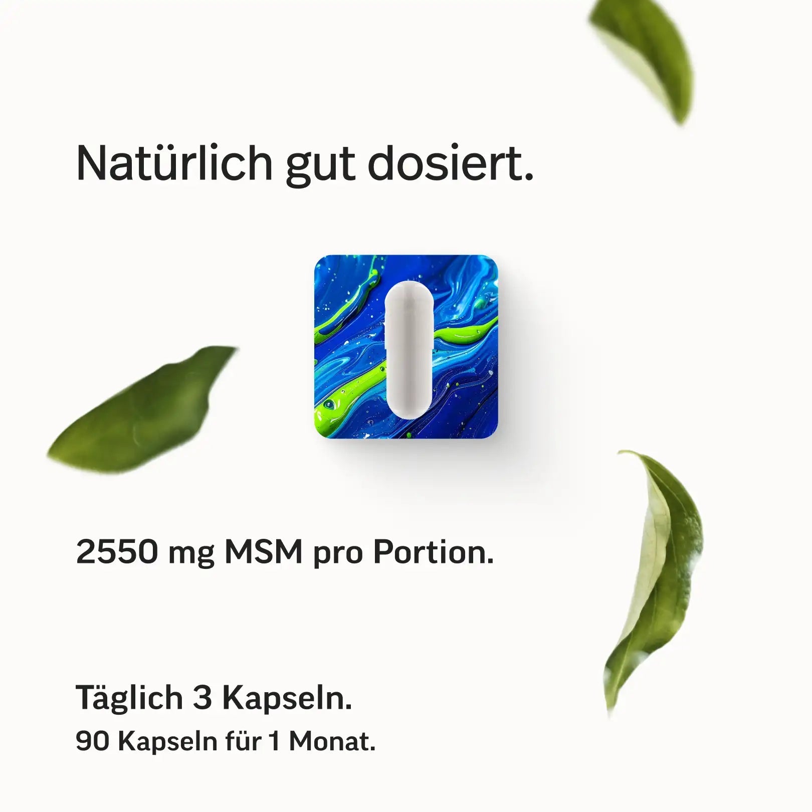PURE MSM Kapseln