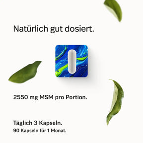 PURE MSM Kapseln
