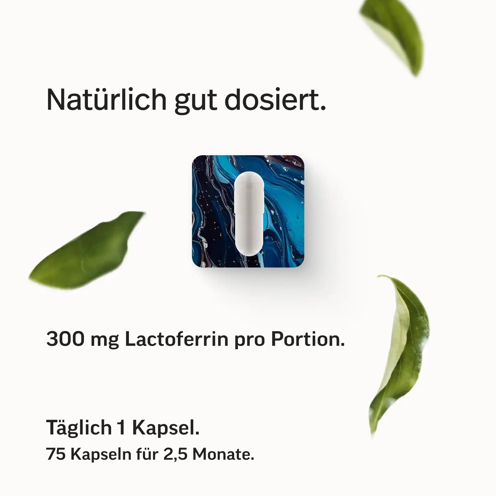 Lactoferrin