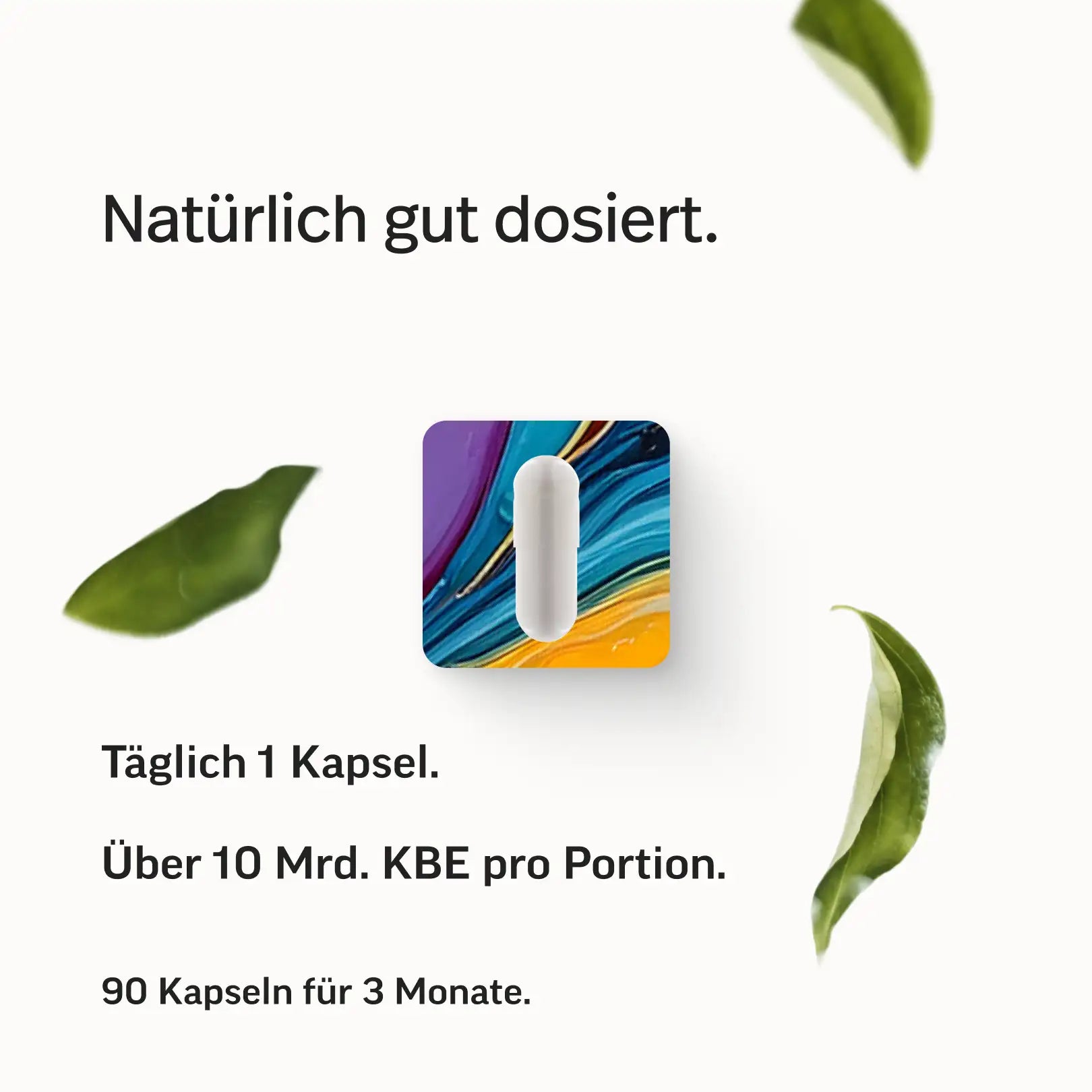Darmbakterien Kapseln