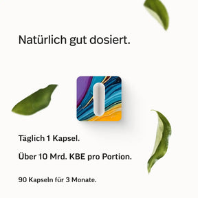 Darmbakterien Kapseln
