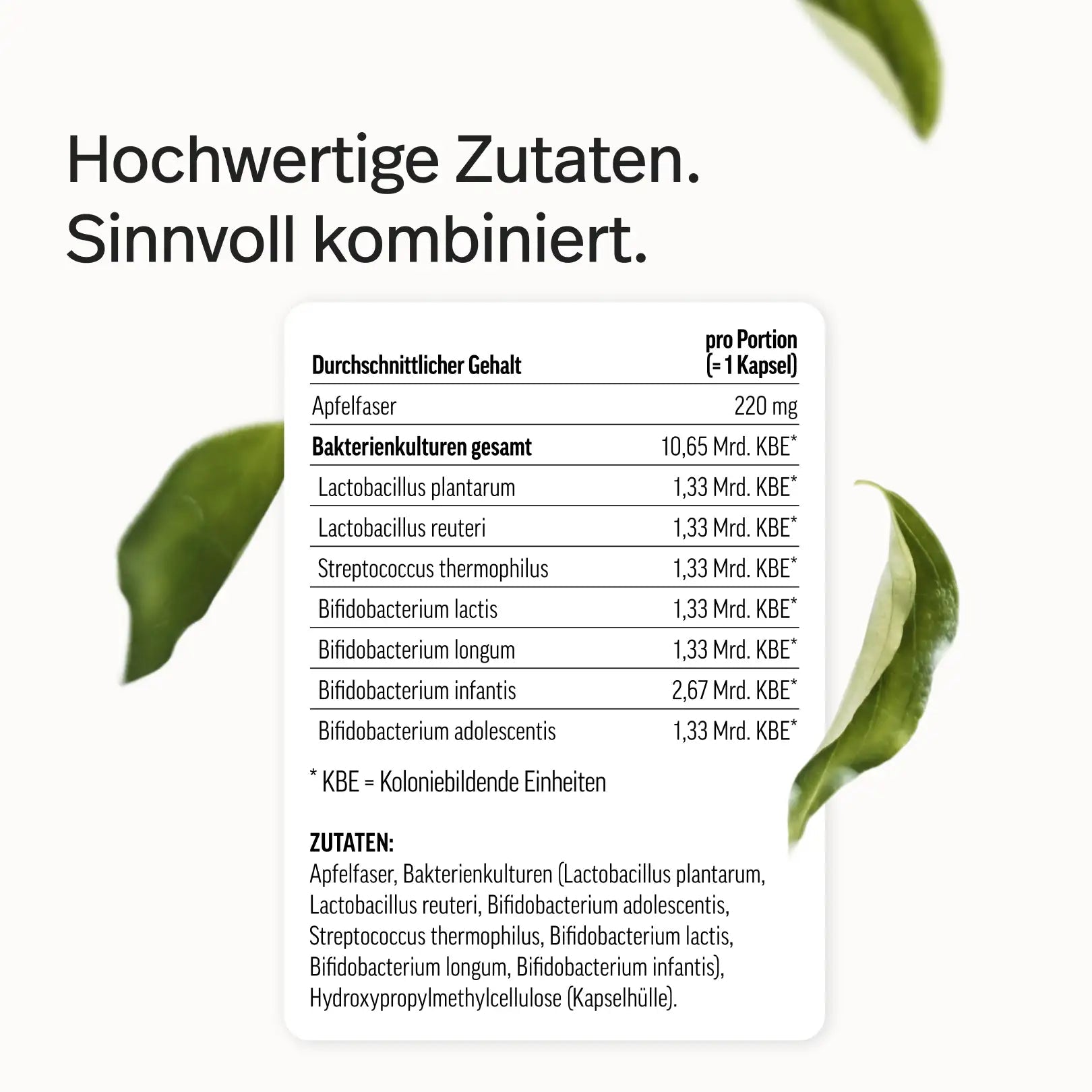 Darmbakterien Kapseln