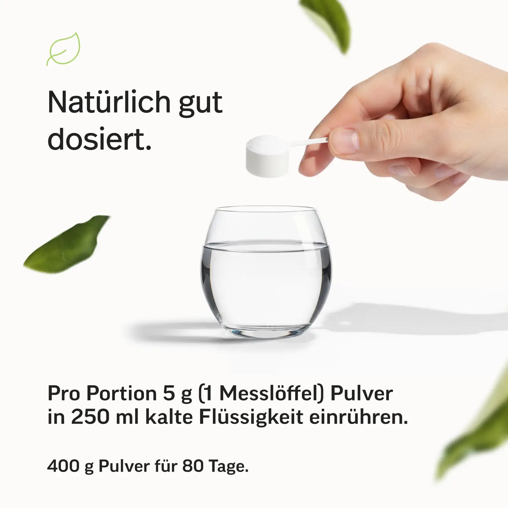 Resistentes Dextrin Pulver
