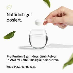 Resistentes Dextrin Pulver