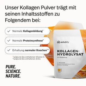 Kollagen-Hydrolysat Pulver