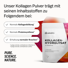 Kollagen-Hydrolysat Pulver