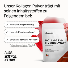 Kollagen-Hydrolysat Pulver