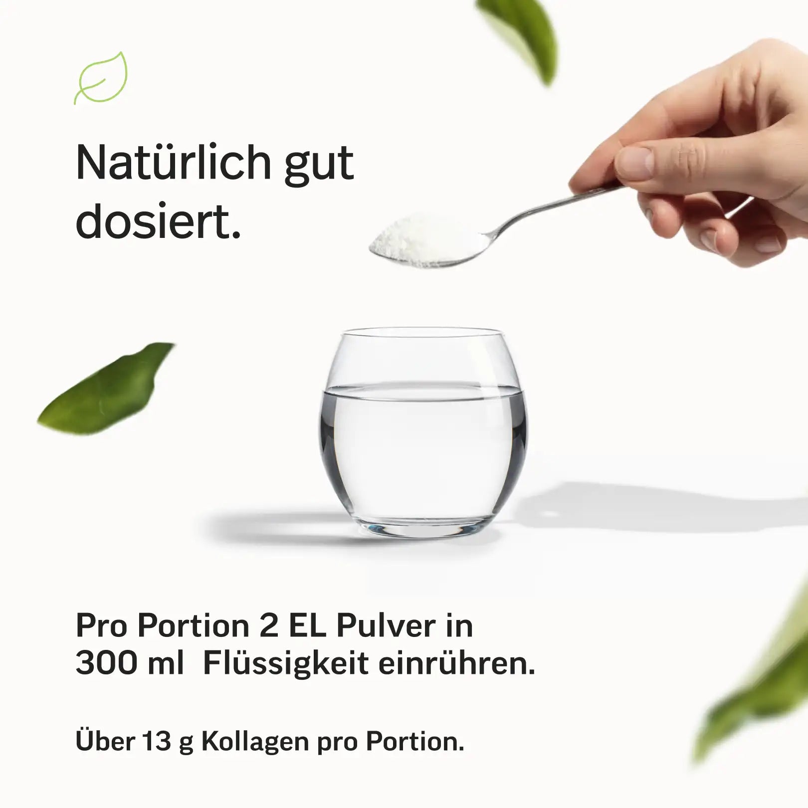 Kollagen-Hydrolysat Pulver