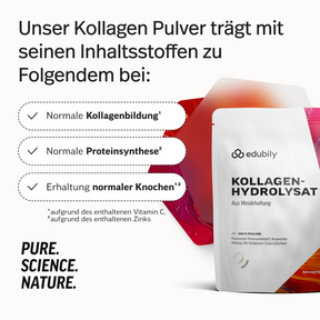 Kollagen-Hydrolysat Pulver