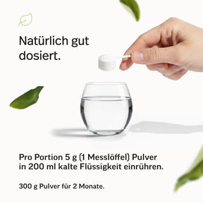 PURE Inositol Pulver