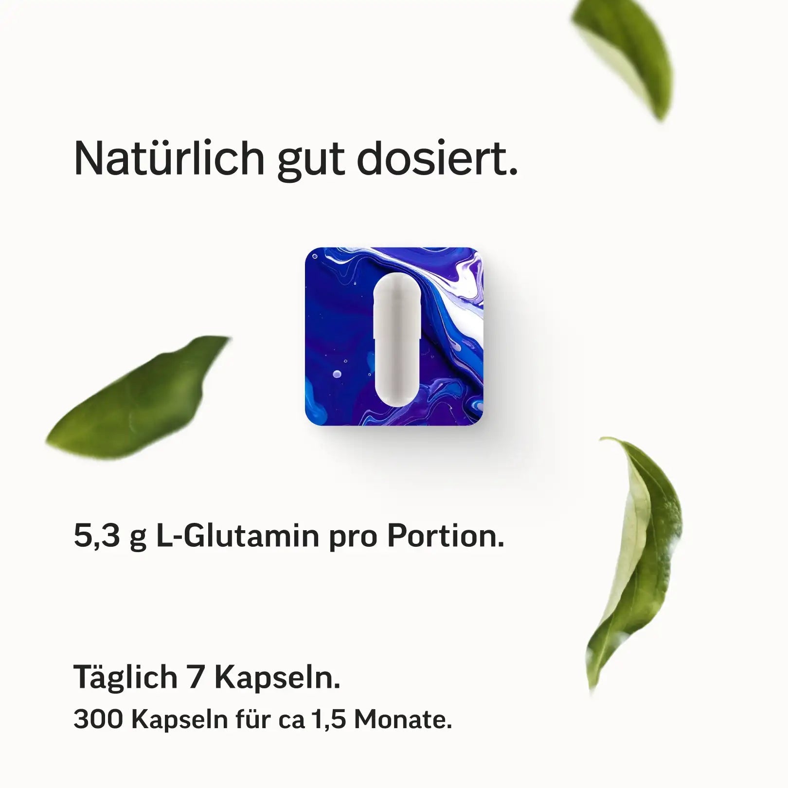 PURE Glutamin Kapseln