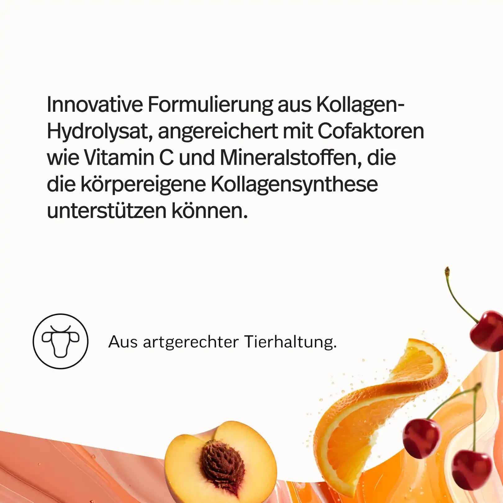Kollagen-Probierpaket