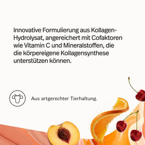 Kollagen-Probierpaket