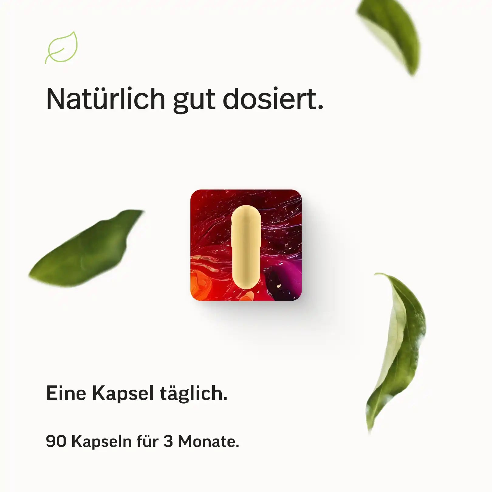 Vitamin B-Komplex