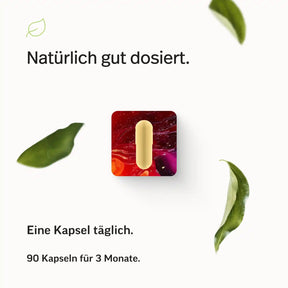 Vitamin B-Komplex